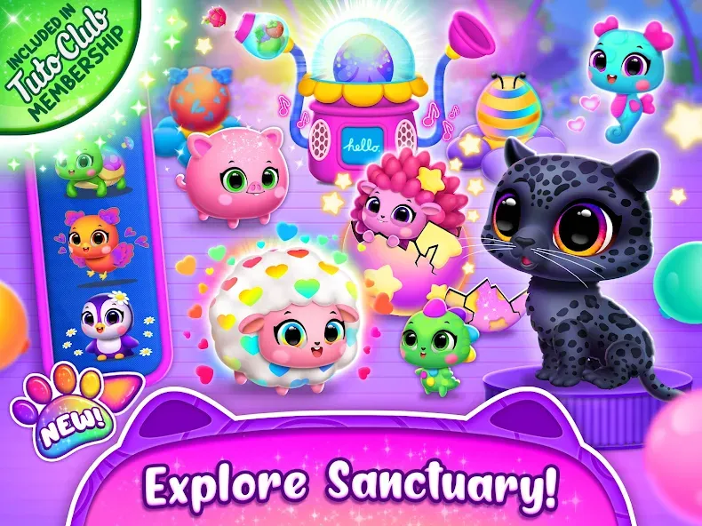 Jungle Floof - Island Pet Care screenshot 9