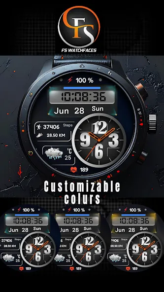 FSW316 Hybrid Watch Face screenshot 1