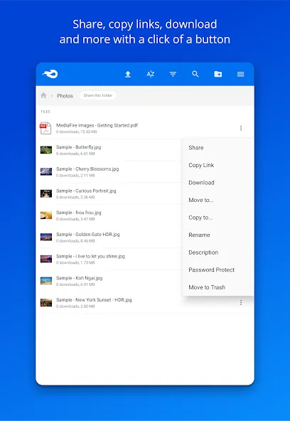 MediaFire screenshot 8