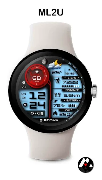 ML2U 263 Watch Face screenshot 7