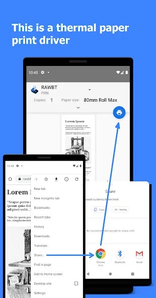 RawBT inkless print service screenshot 2