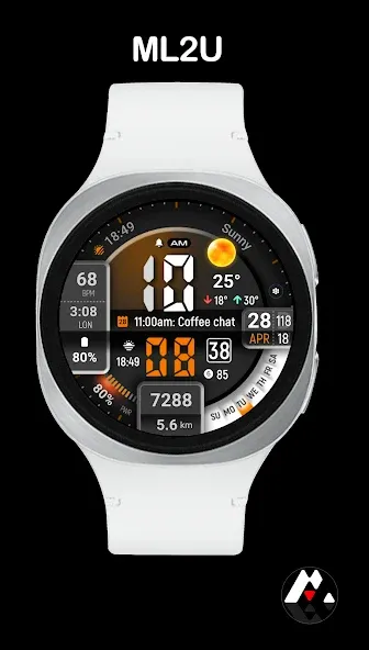 ML2U 413 Active Lifestyle screenshot 1