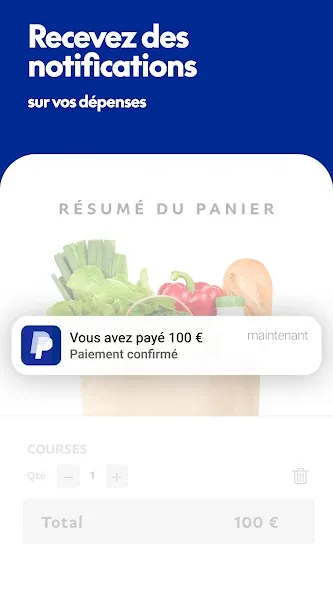PayPal screenshot 3