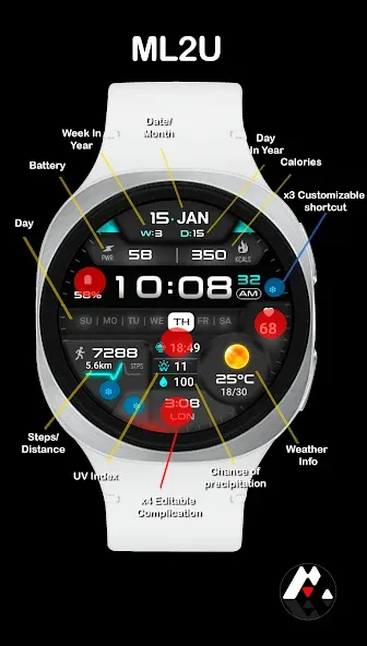 ML2U 381 Hybrid Watch Face screenshot 2