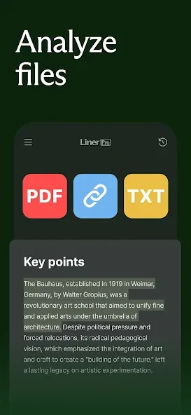 Liner: AI search assistant screenshot 6