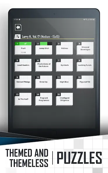 Crossword Puzzle Redstone screenshot 12