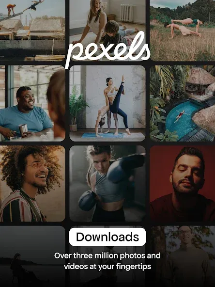 Pexels: HD+ videos & photos screenshot 6