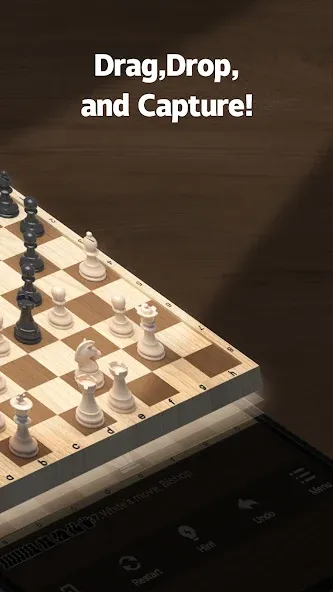 체스 ( Chess ) : 클래식 전략 보드 퍼즐 게임 screenshot 6