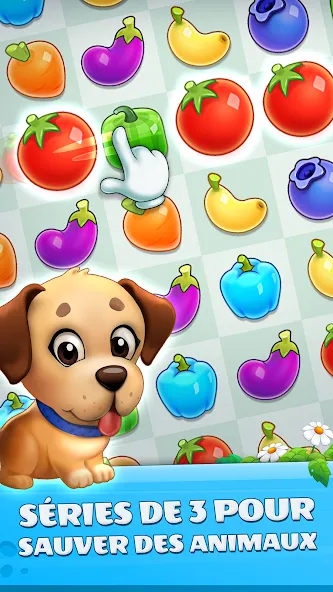 Sauveteurs d'animaux : Secoure screenshot 5