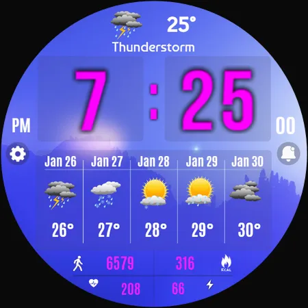 Forecast Weather Digital screenshot 39
