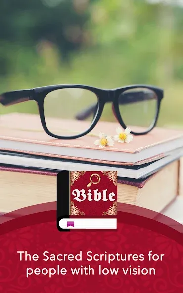 Large print Bible in english screenshot 15