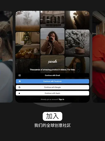 Pexels screenshot 10