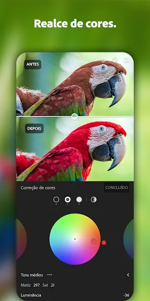 Lightroom Edite fotos e vídeos screenshot 7