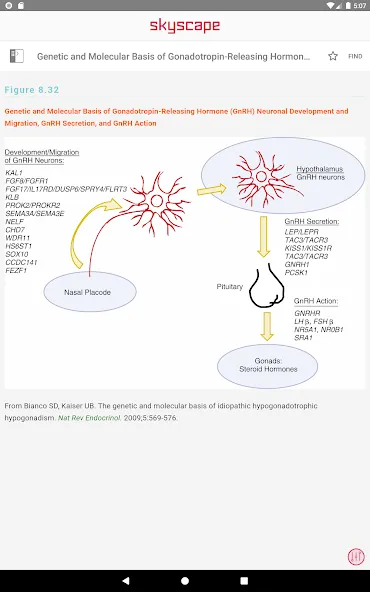 William Endocrinology Textbook screenshot 22