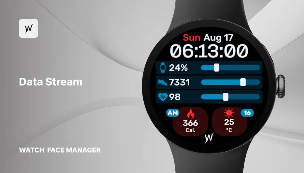 Data Stream Watch Face screenshot 1