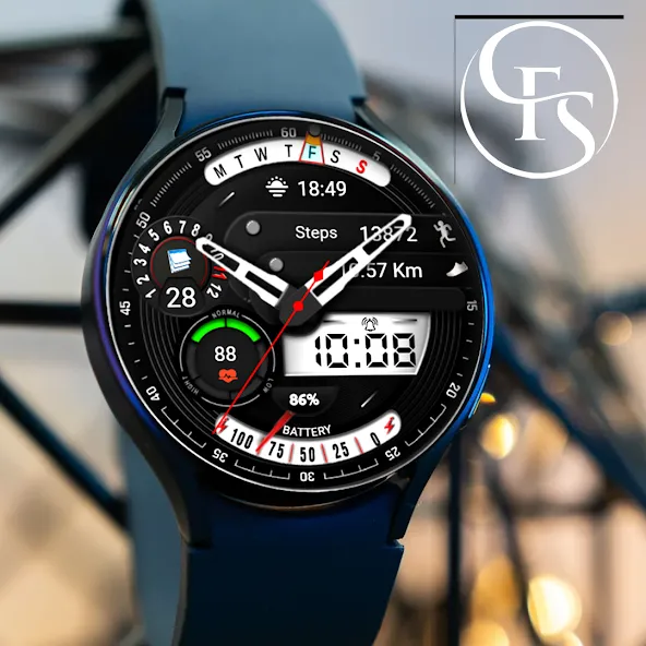 Analog Watchface FSW298 screenshot 5