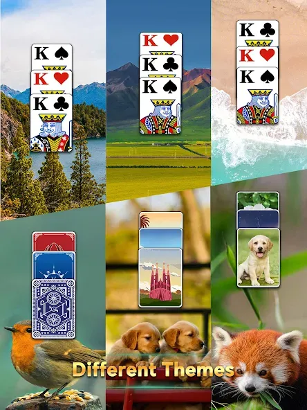 Solitaire Relax®: Classic Card screenshot 11