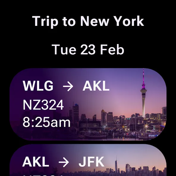 Air NZ screenshot 9
