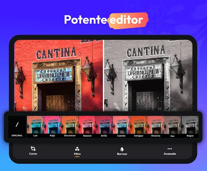 Galería - Galería de Fotos screenshot 12