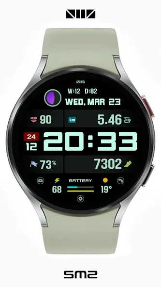 SMZ Chameleon 21En screenshot 5