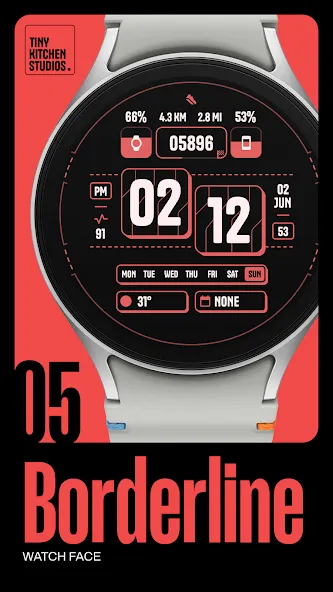 TKS 05 Borderline Watch Face screenshot 1