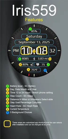 Iris559 Multi-Function Digital screenshot 5