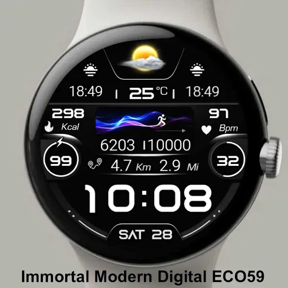 Immortal Modern Digital ECO59 screenshot 4