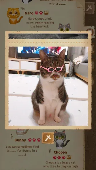 Secret Cat Forest screenshot 6