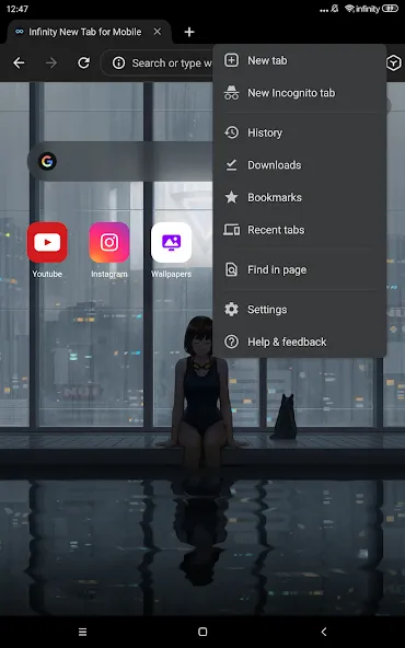 狐猴浏览器-支持浏览器扩展插件&油猴脚本的浏览器 screenshot 10