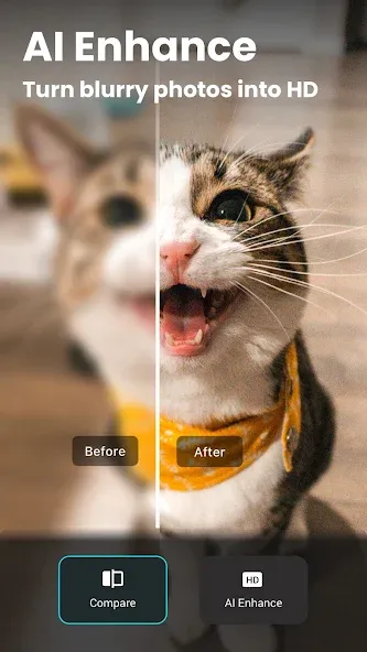 AI Photo Editor - Lumii screenshot 11