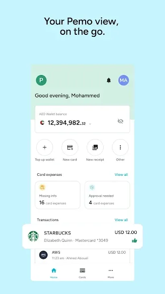 Pemo screenshot 2