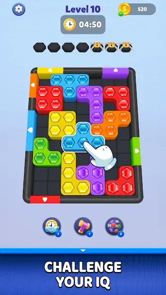 Hexa Block Jam: Color Puzzle screenshot 13