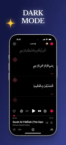 Quran Pro - القران الكريم screenshot 8