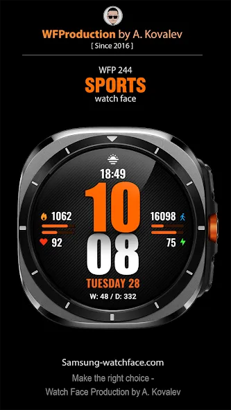 WFP 244 Sports watch face screenshot 1