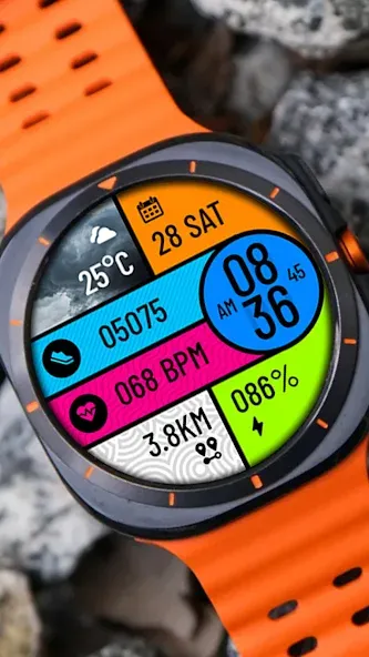 POLO Watch Face screenshot 2