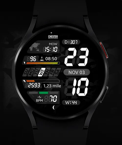 Chester LCD2 watch face screenshot 3
