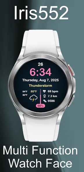 Iris552 Multi-Function Digital screenshot 3
