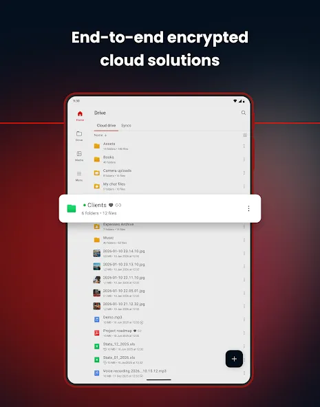 MEGA screenshot 10
