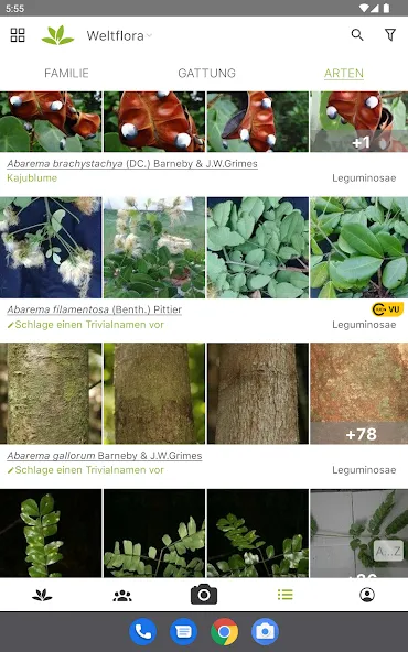 Pl@ntNet Pflanzenbestimmung screenshot 7
