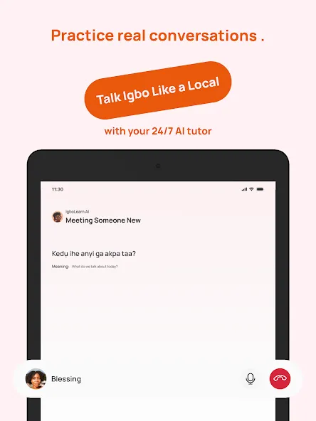 Learn & Speak Igbo - IgboLearn screenshot 13