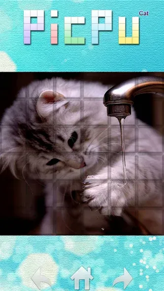 PicPu - Cat Picture Puzzle screenshot 5