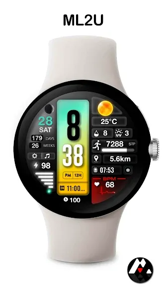 ML2U 268 Watch Face screenshot 5