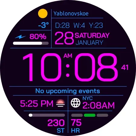 Chester Inform watch face screenshot 24