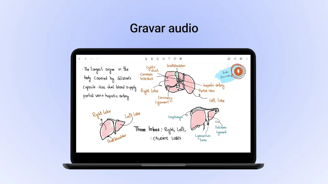 Noteshelf: Notas Digitais screenshot 28