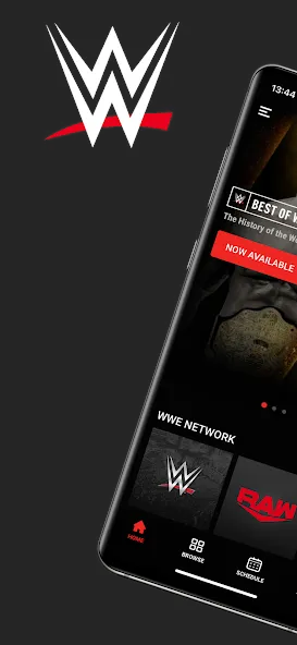 WWE screenshot 1