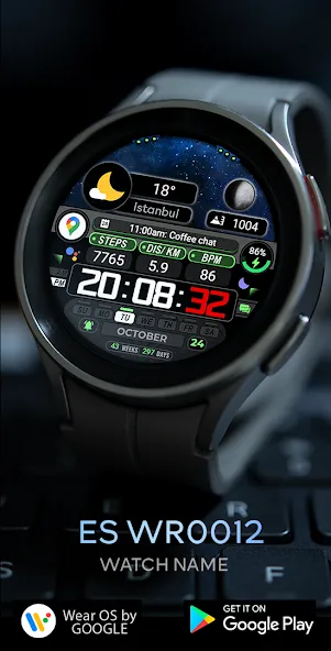 ES WR0012 screenshot 3