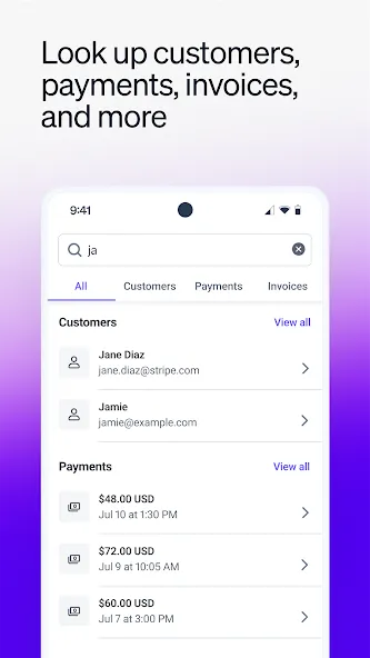 Stripe Dashboard screenshot 5