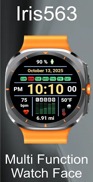 Iris563 Multi-Function Digital screenshot 18