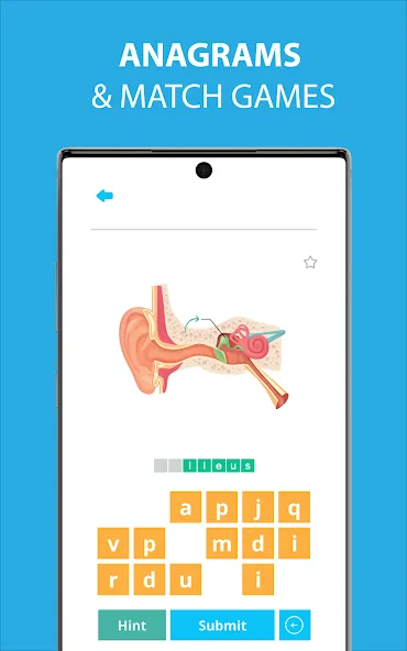 Medical Terminology Learning Q screenshot 3
