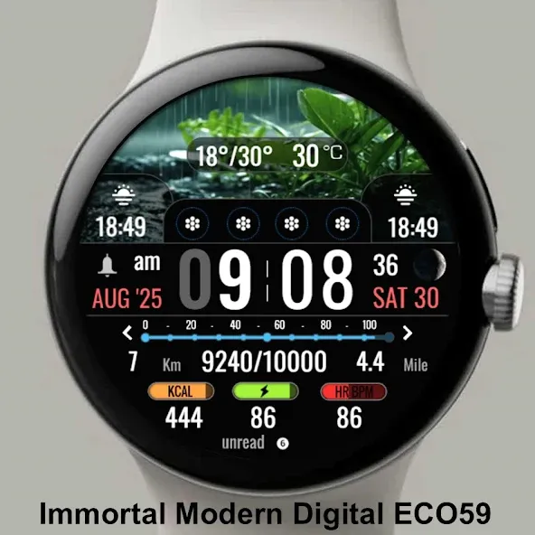 Animated Weather Informer IW13 screenshot 4